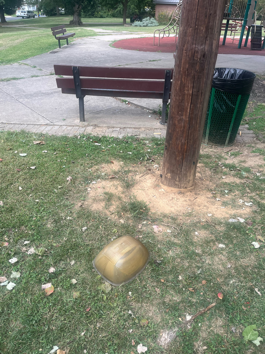 Photographic documentation of the work as submitted to the city's 311 record.