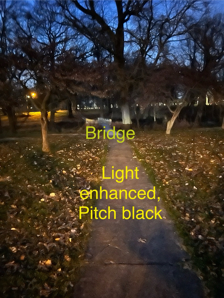 Photographic documentation of the work as submitted to the city's 311 record.