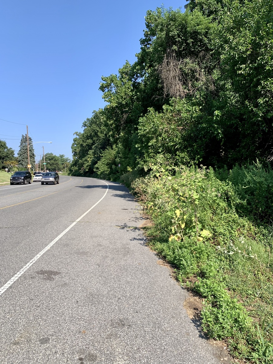 Photographic documentation of the work as submitted to the city's 311 record.