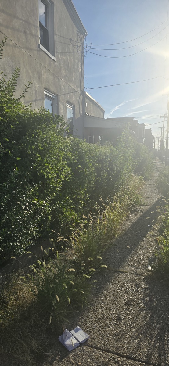 Photographic documentation of the work as submitted to the city's 311 record.