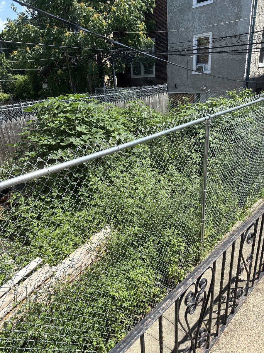 Photographic documentation of the work as submitted to the city's 311 record.