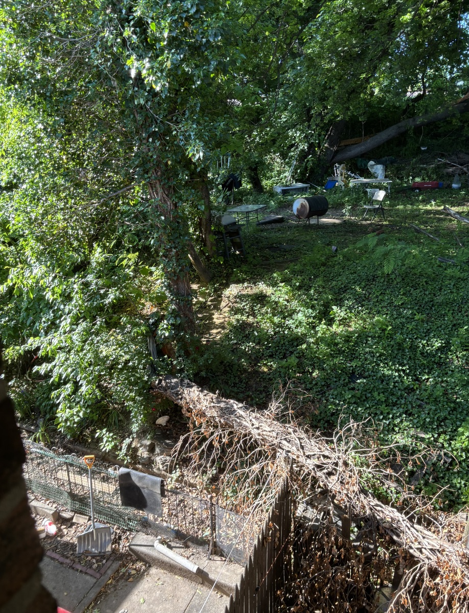 Photographic documentation of the work as submitted to the city's 311 record.