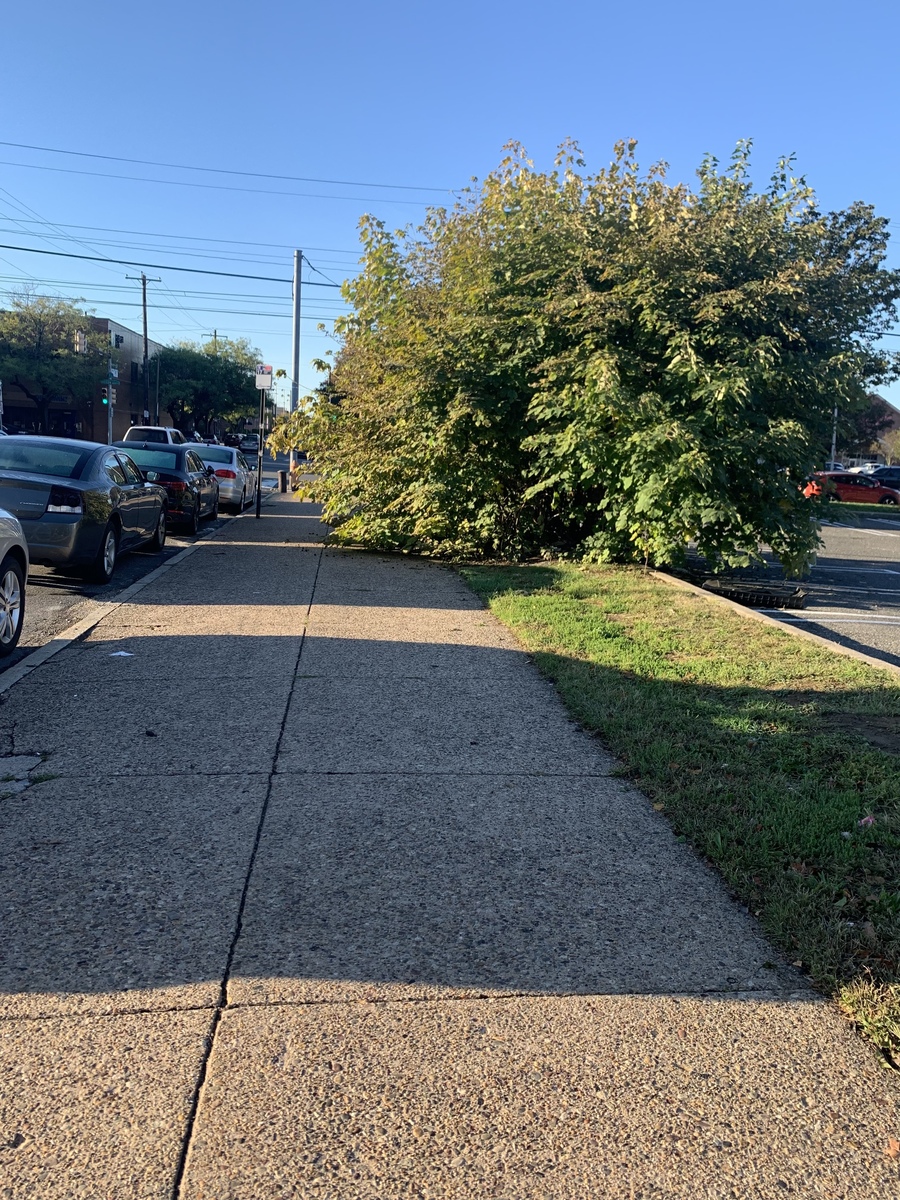 Photographic documentation of the work as submitted to the city's 311 record.