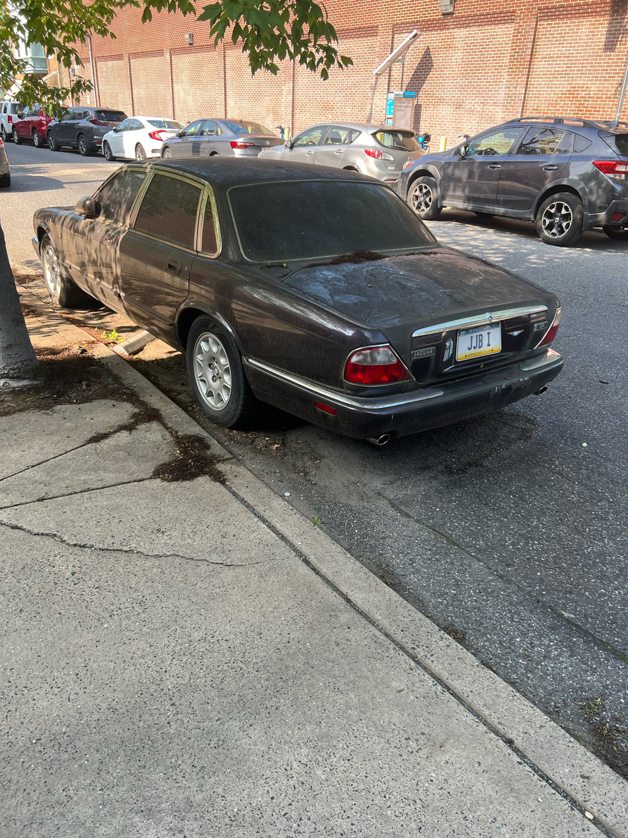 Photographic documentation of the work as submitted to the city's 311 record.