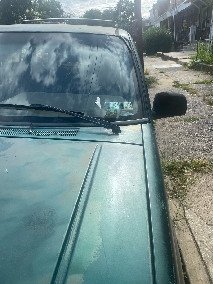Photographic documentation of the work as submitted to the city's 311 record.