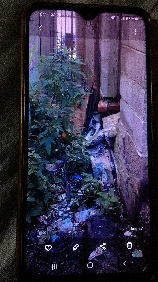 Photographic documentation of the work as submitted to the city's 311 record.