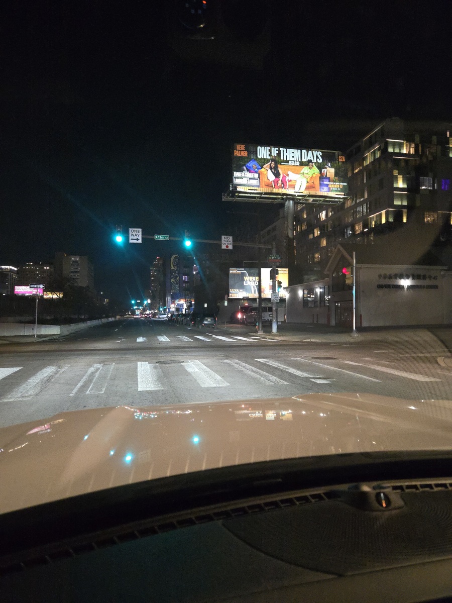 Photographic documentation of the work as submitted to the city's 311 record.