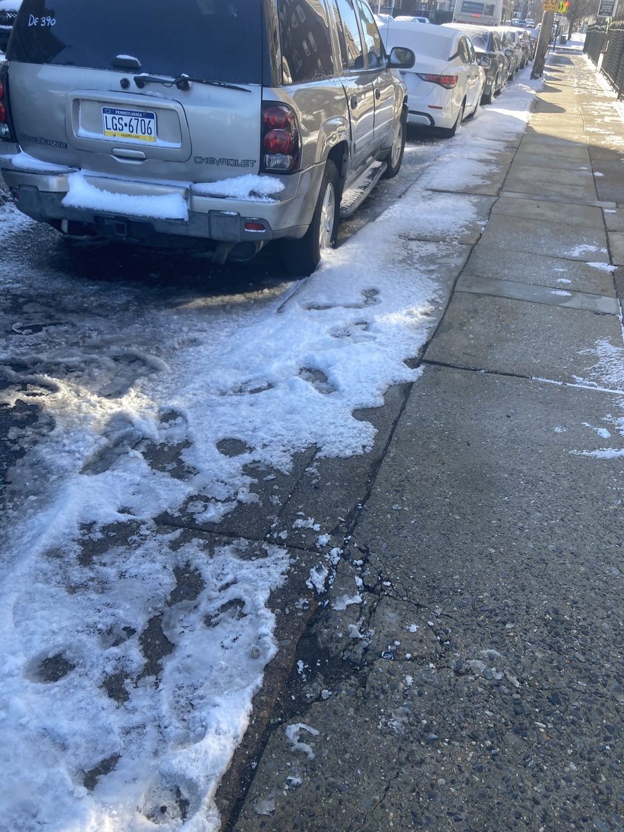 Photographic documentation of the work as submitted to the city's 311 record.