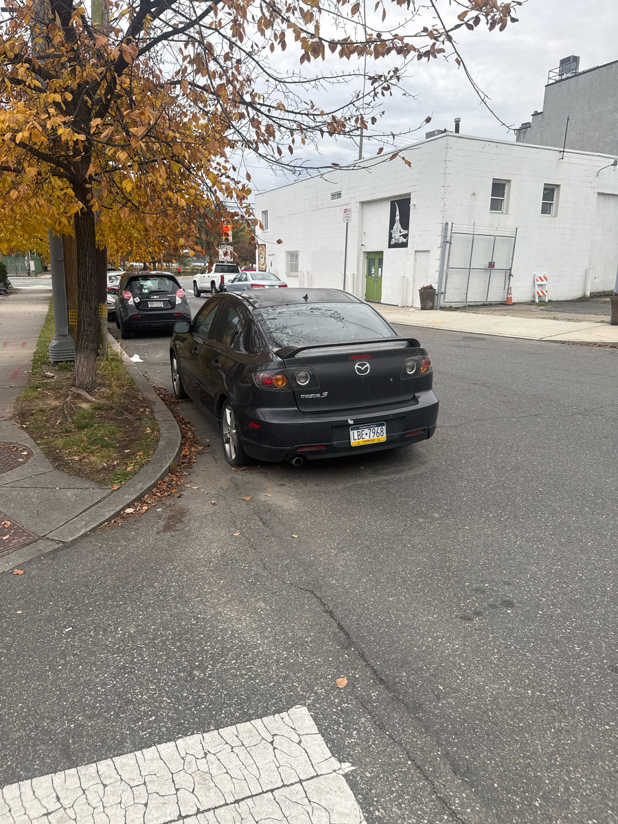 Photographic documentation of the work as submitted to the city's 311 record.