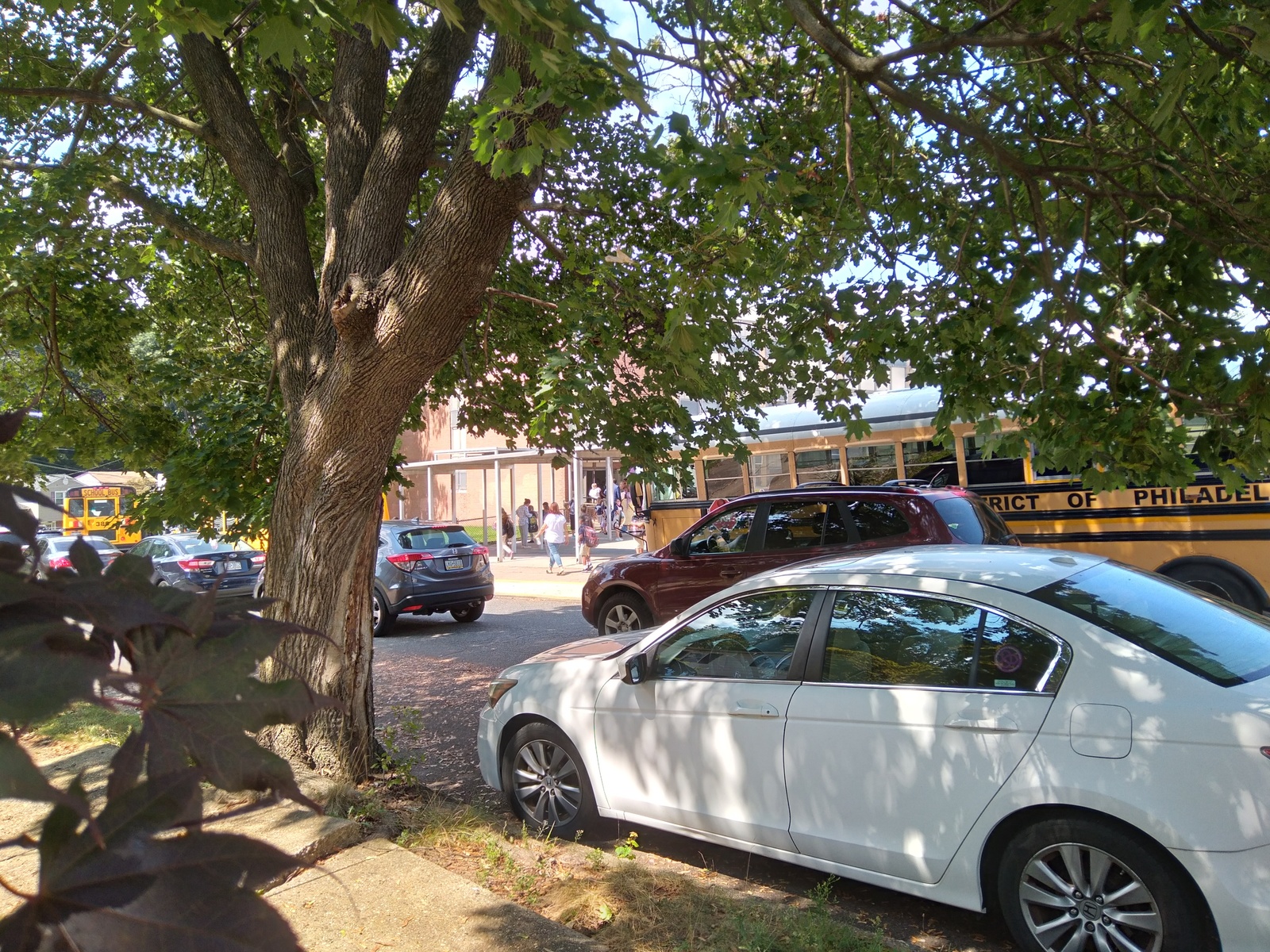 Photographic documentation of the work as submitted to the city's 311 record.