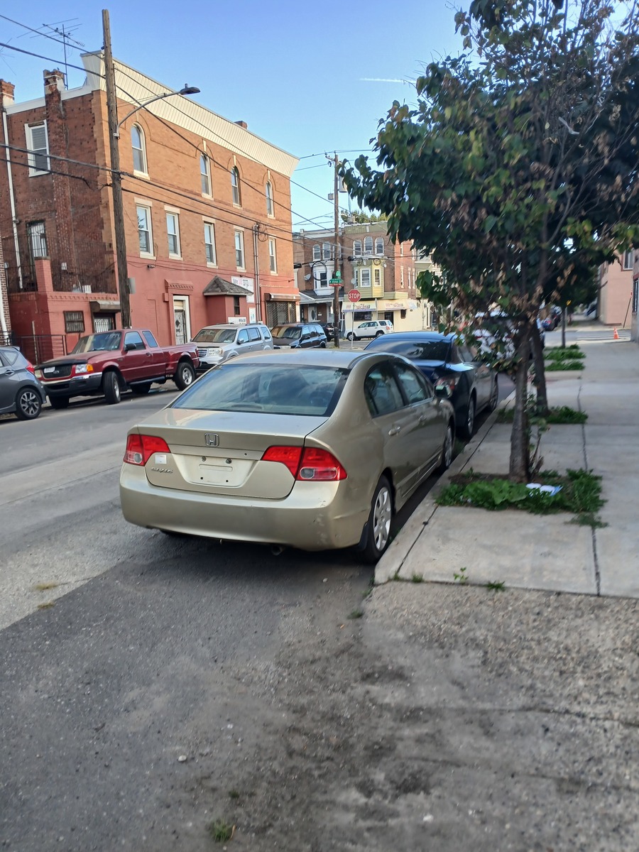 Photographic documentation of the work as submitted to the city's 311 record.