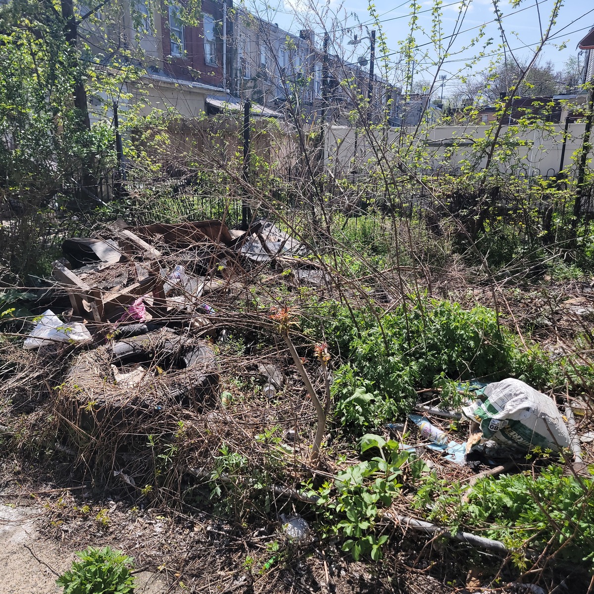Photographic documentation of the work as submitted to the city's 311 record.