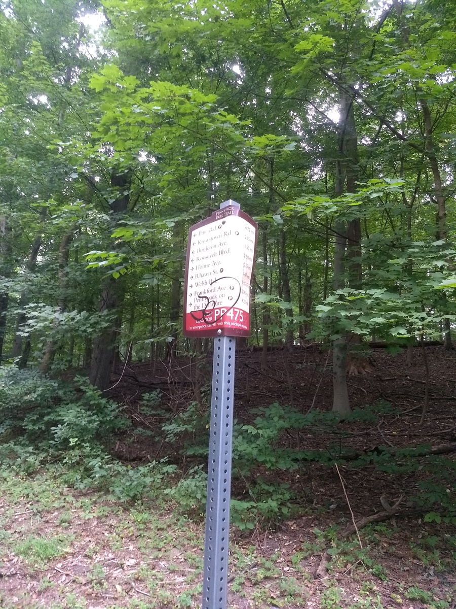 Photographic documentation of the work as submitted to the city's 311 record.