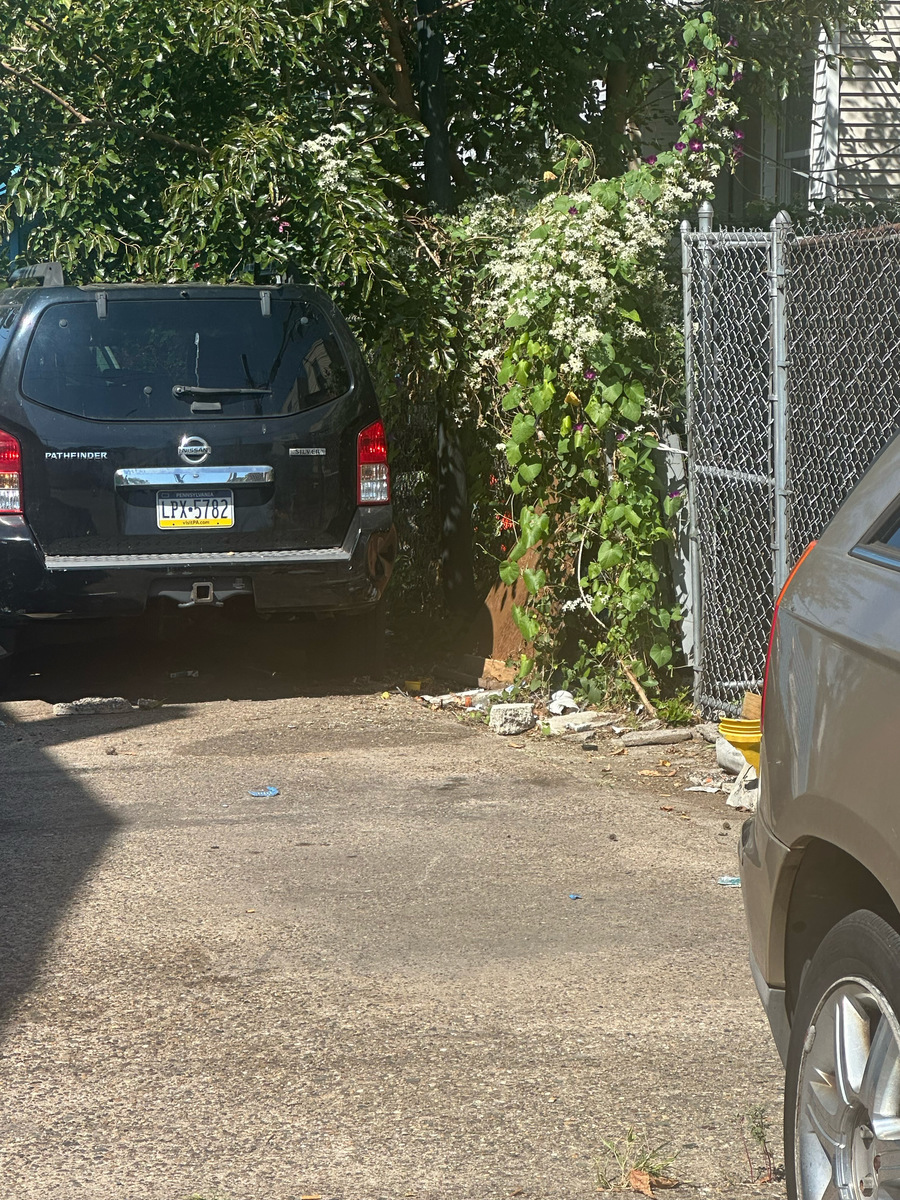 Photographic documentation of the work as submitted to the city's 311 record.