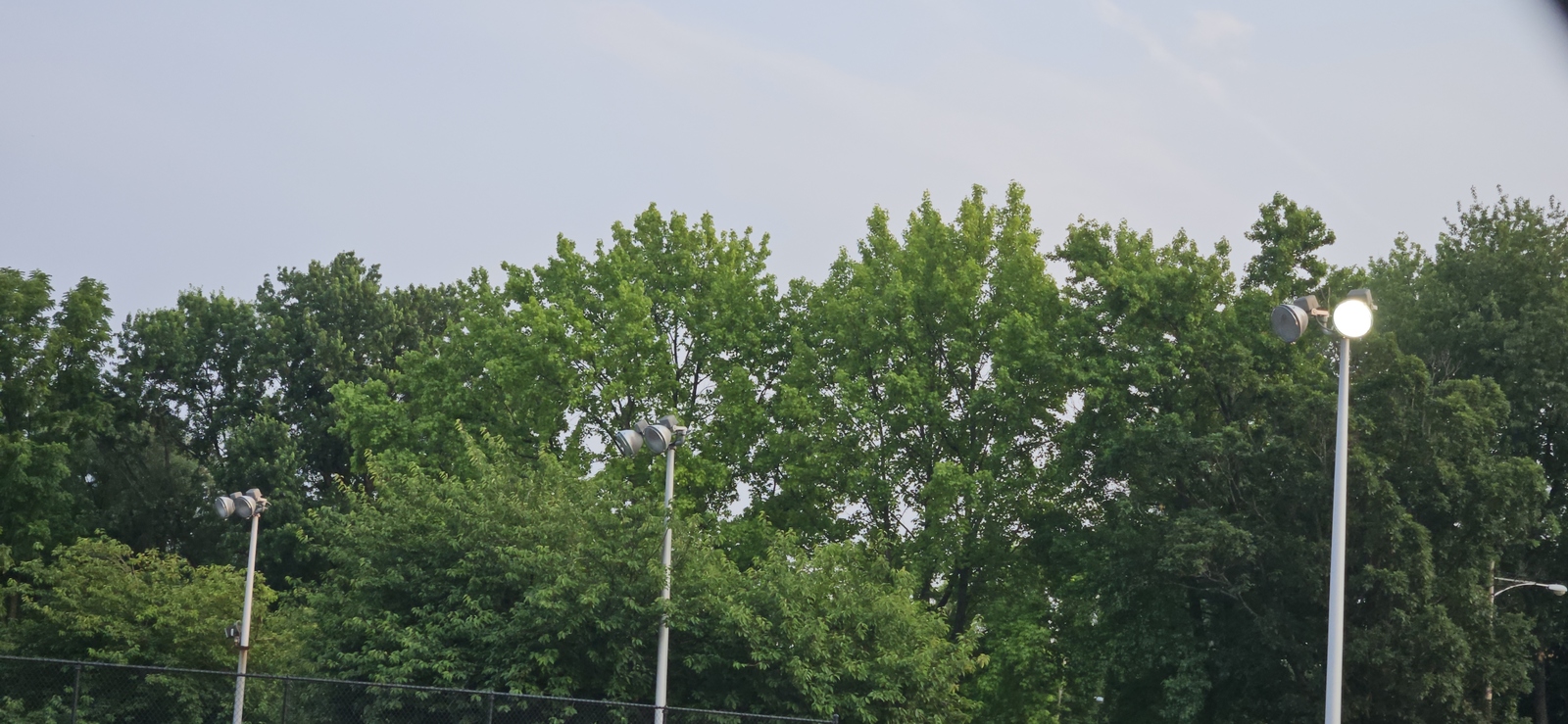 Photographic documentation of the work as submitted to the city's 311 record.