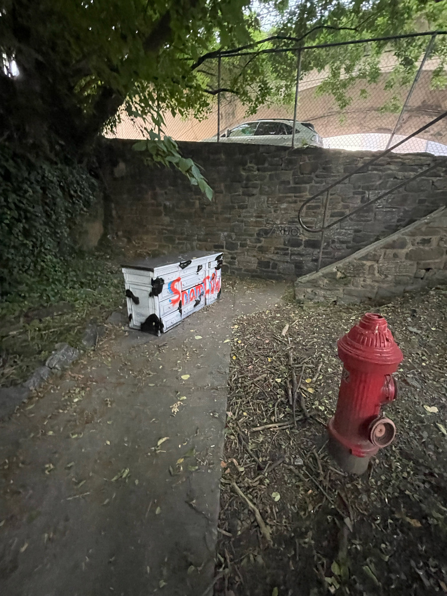 Photographic documentation of the work as submitted to the city's 311 record.