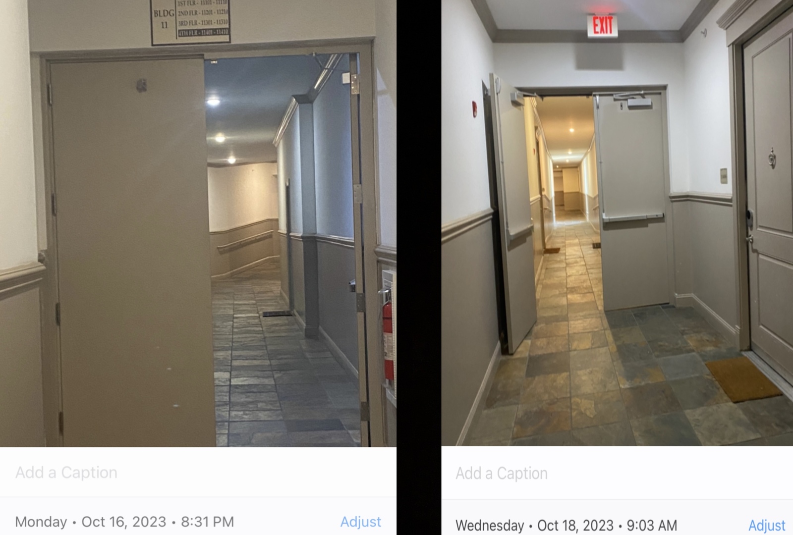 Photographic documentation of the work as submitted to the city's 311 record.