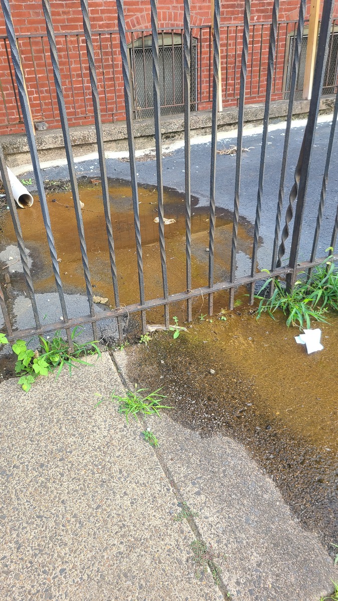 Photographic documentation of the work as submitted to the city's 311 record.