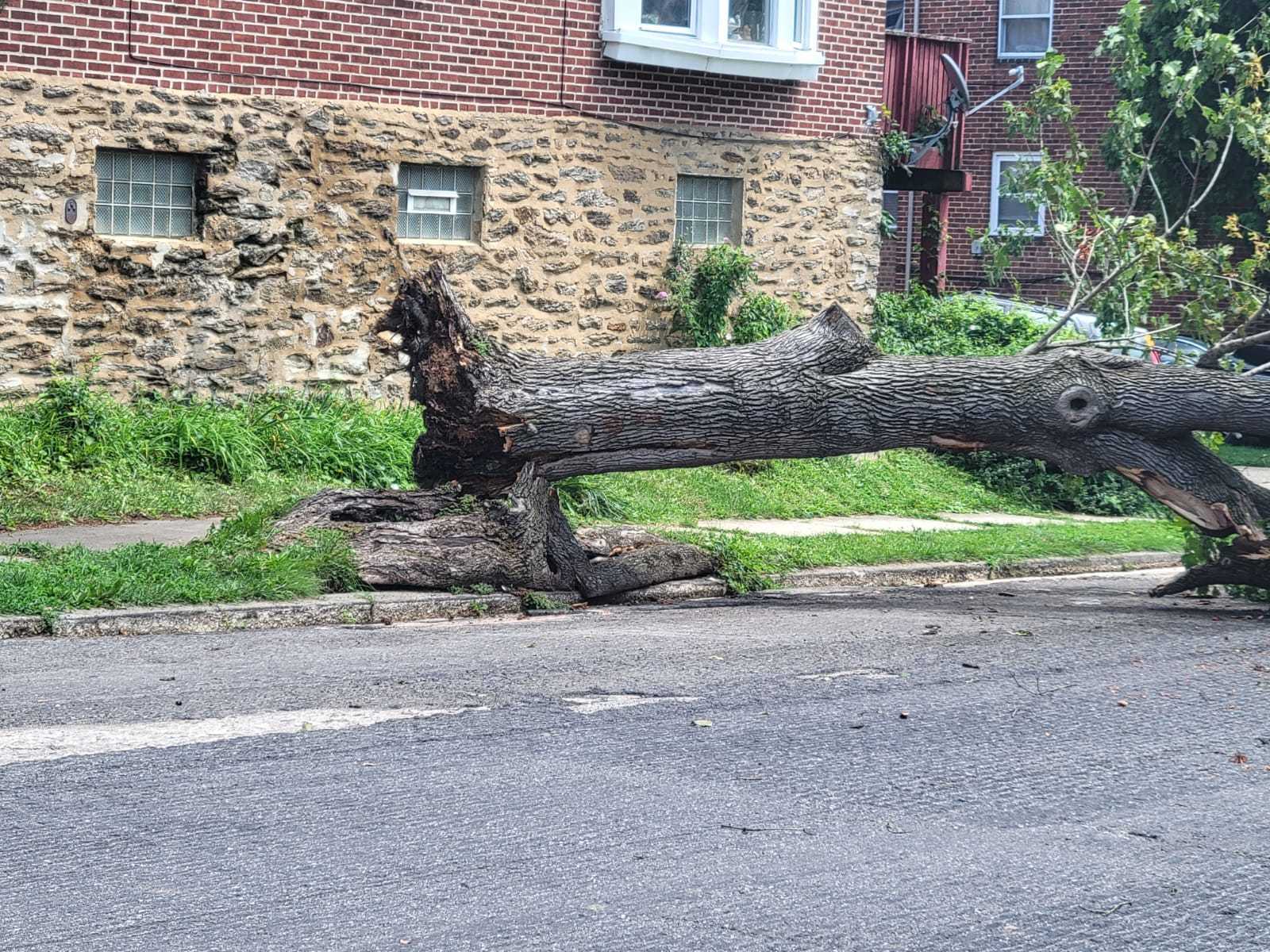 Photographic documentation of the work as submitted to the city's 311 record.