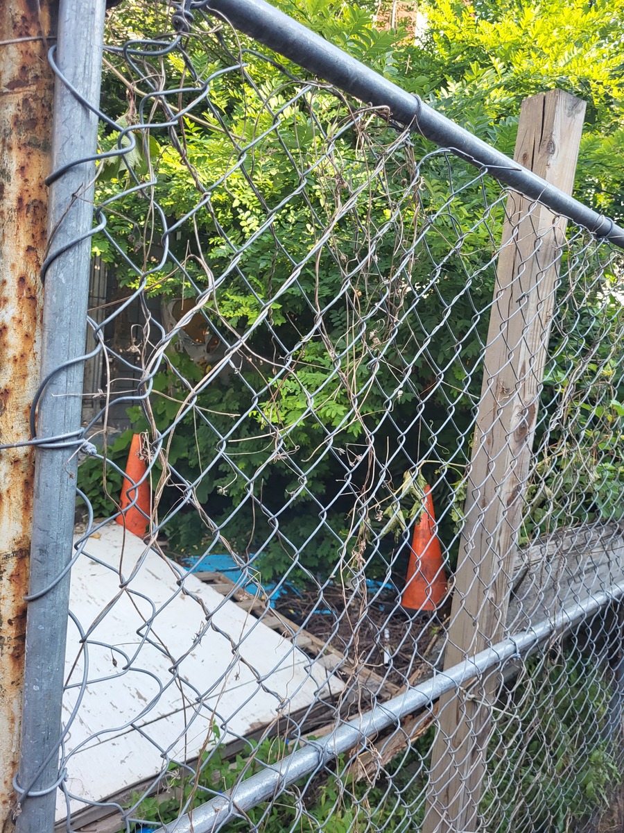 Photographic documentation of the work as submitted to the city's 311 record.