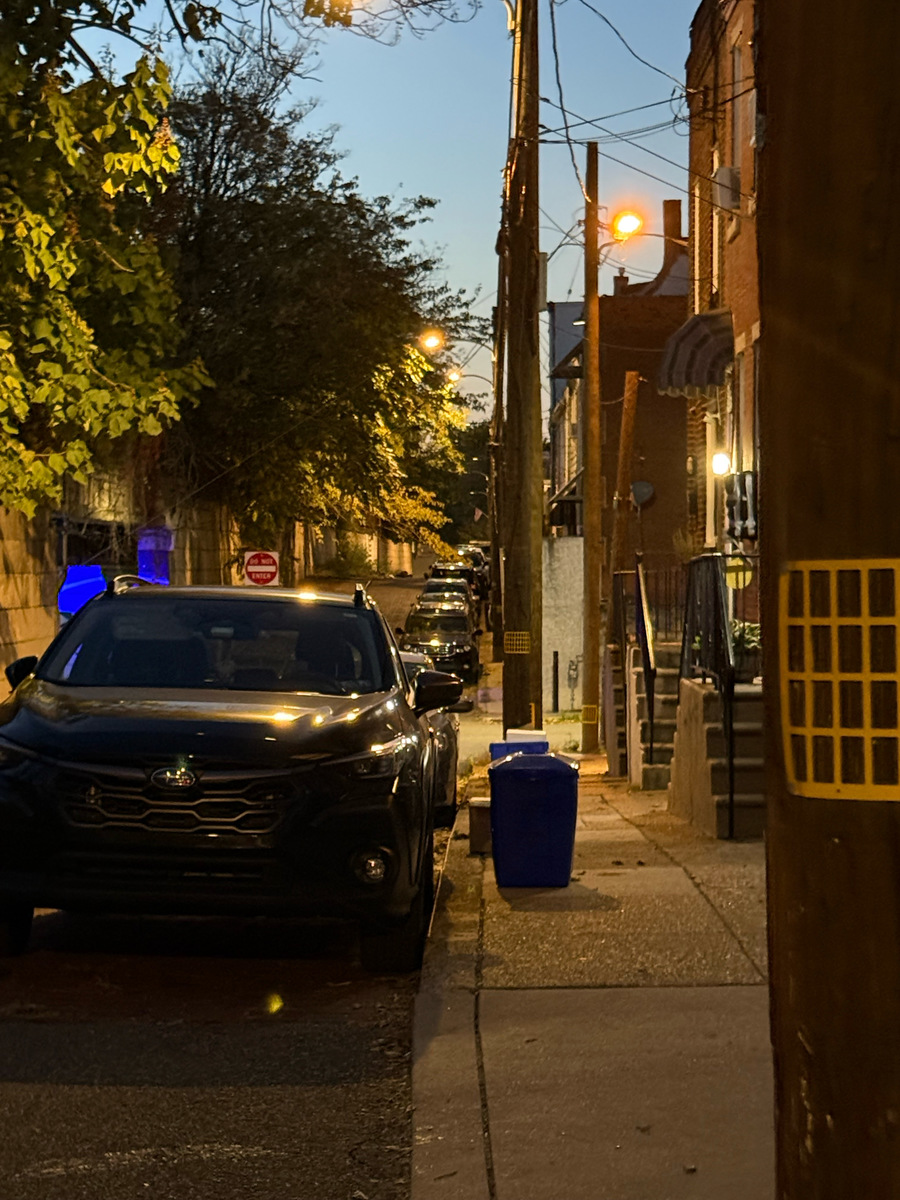 Photographic documentation of the work as submitted to the city's 311 record.