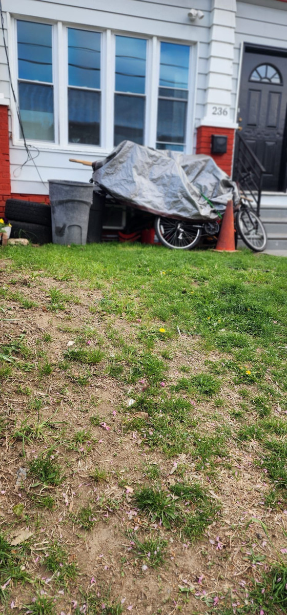 Photographic documentation of the work as submitted to the city's 311 record.