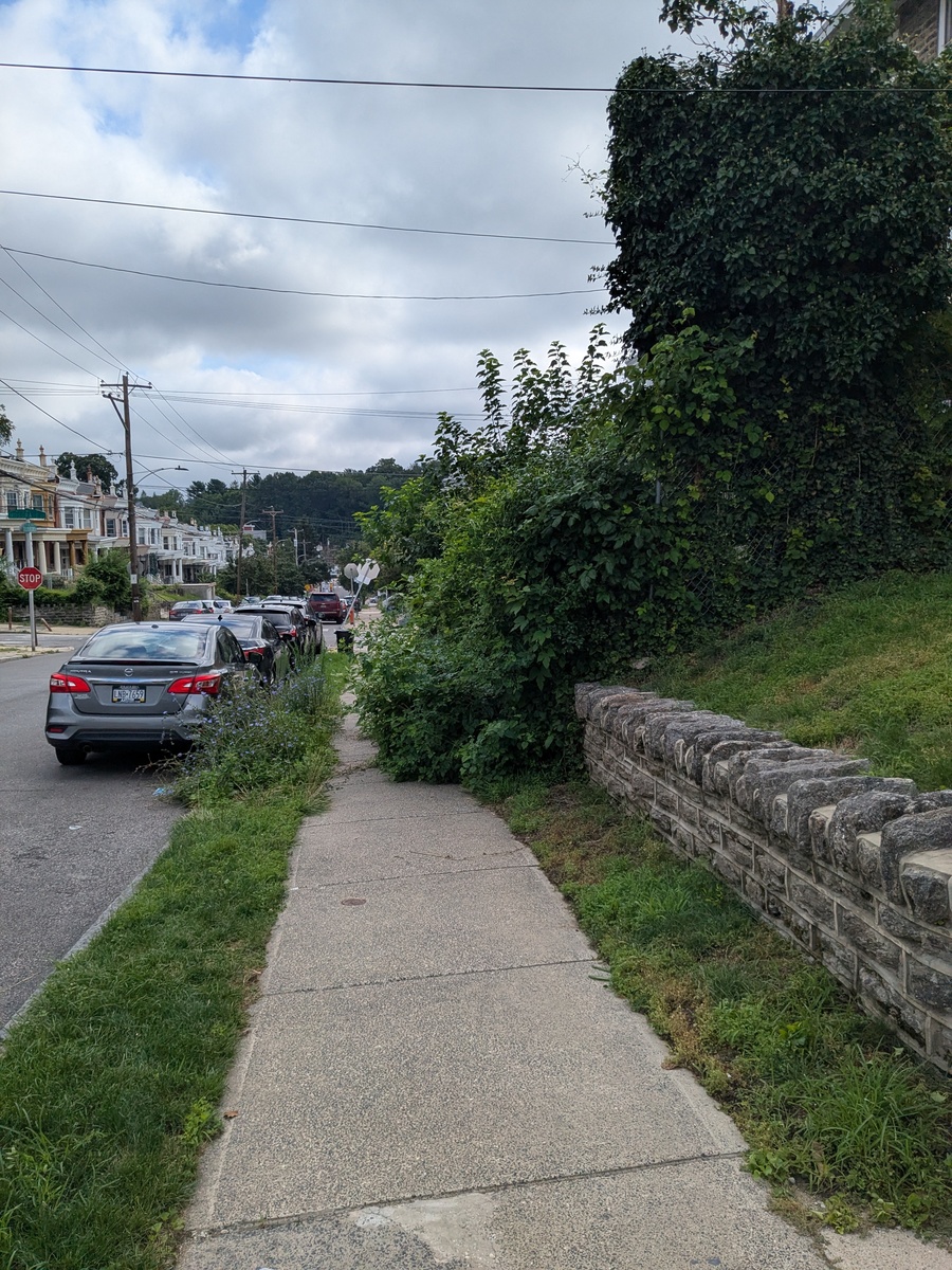 Photographic documentation of the work as submitted to the city's 311 record.