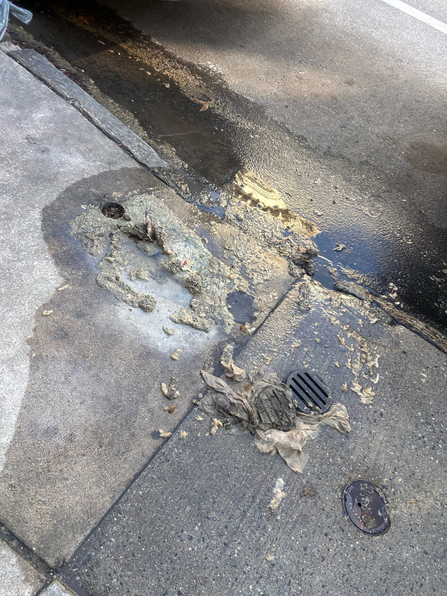 Photographic documentation of the work as submitted to the city's 311 record.