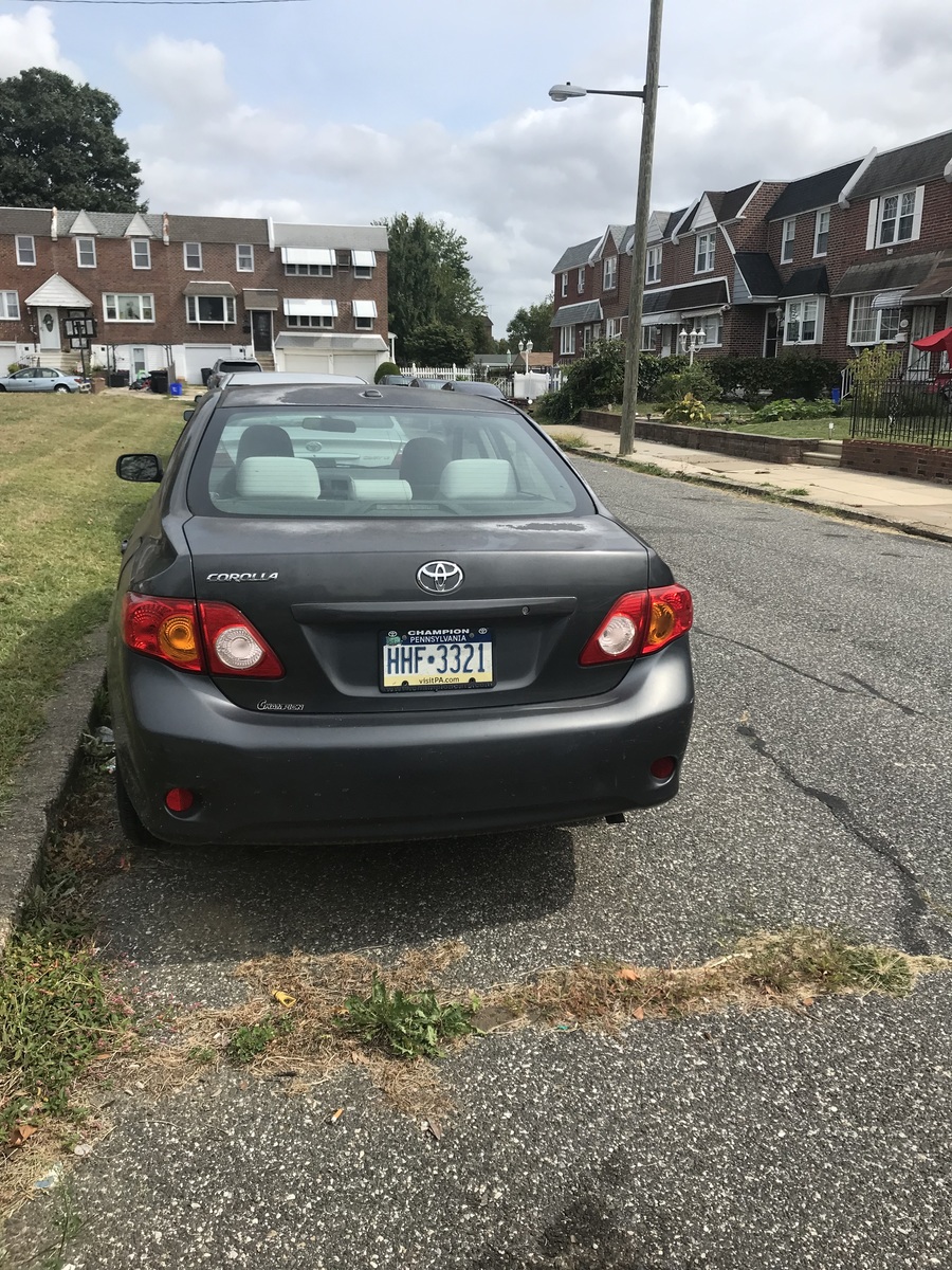 Photographic documentation of the work as submitted to the city's 311 record.