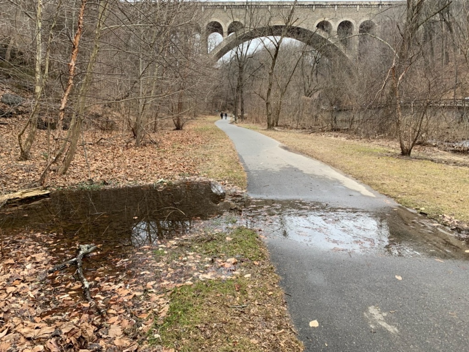 Photographic documentation of the work as submitted to the city's 311 record.