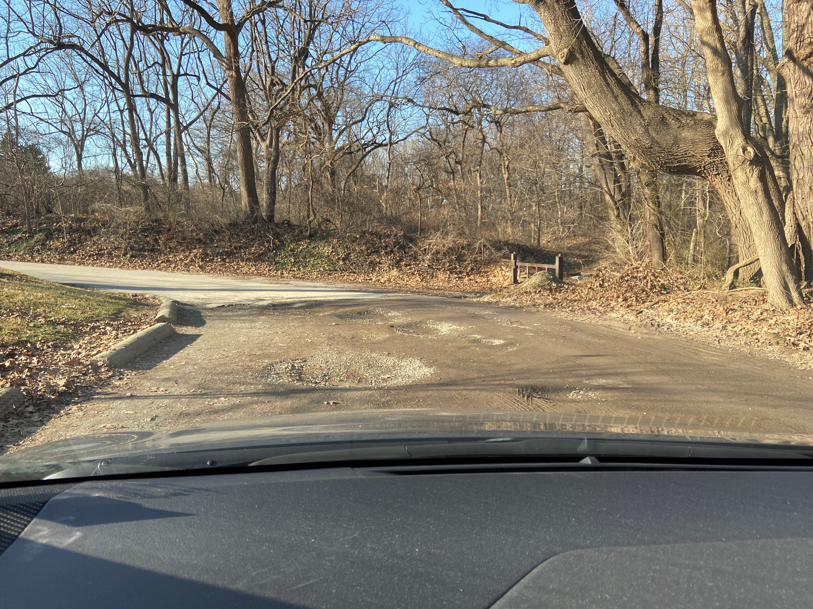 Photographic documentation of the work as submitted to the city's 311 record.