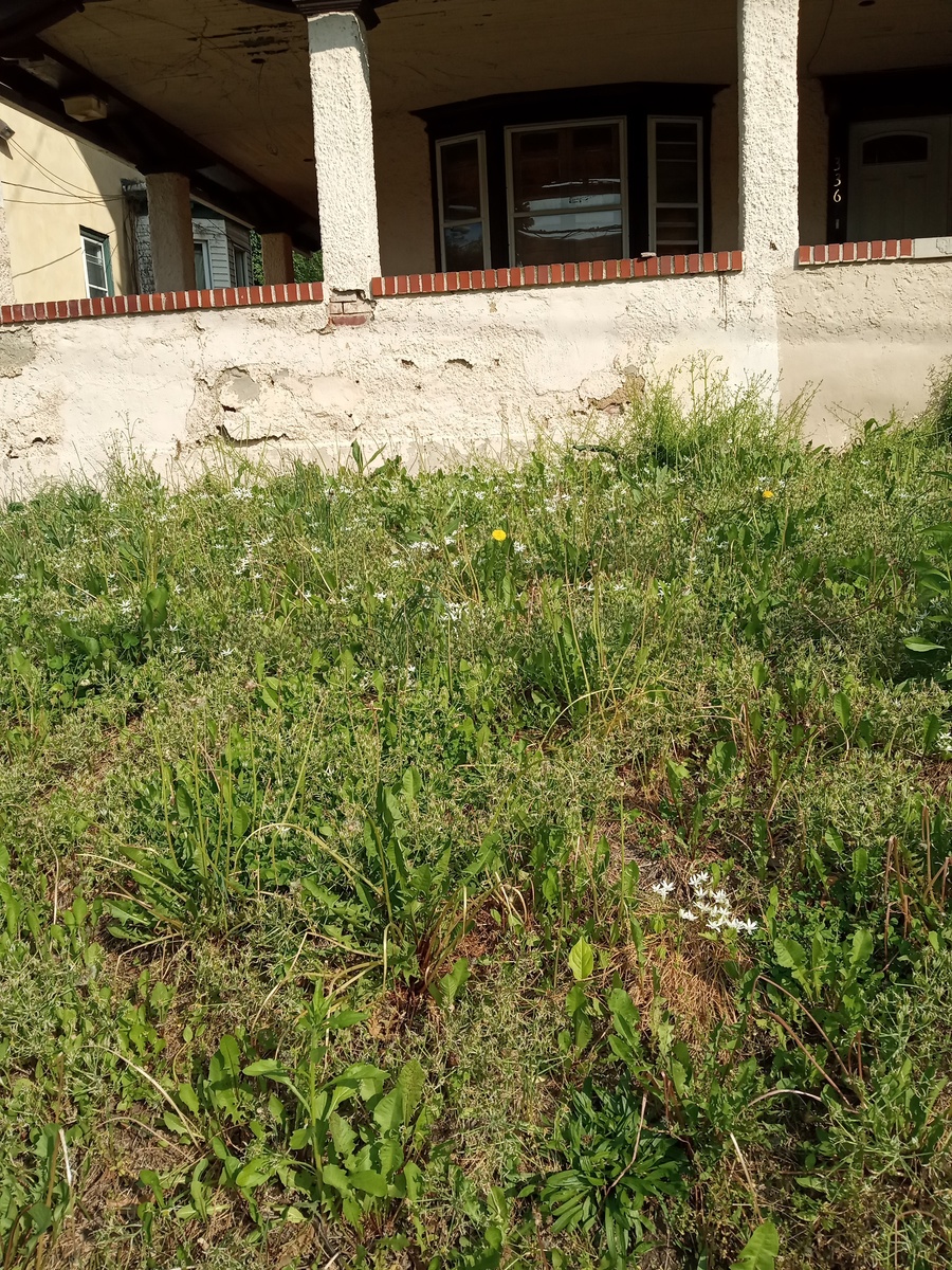 Photographic documentation of the work as submitted to the city's 311 record.