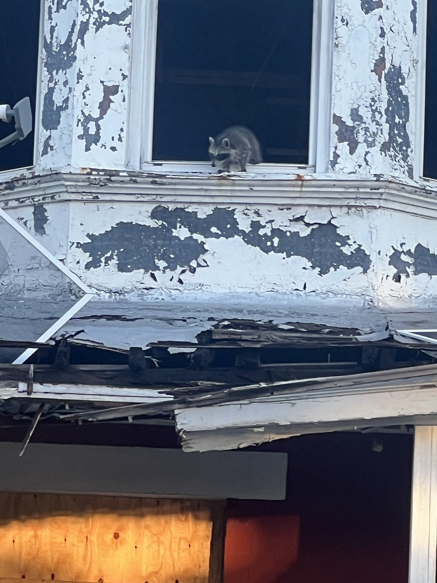 Photographic documentation of the work as submitted to the city's 311 record.
