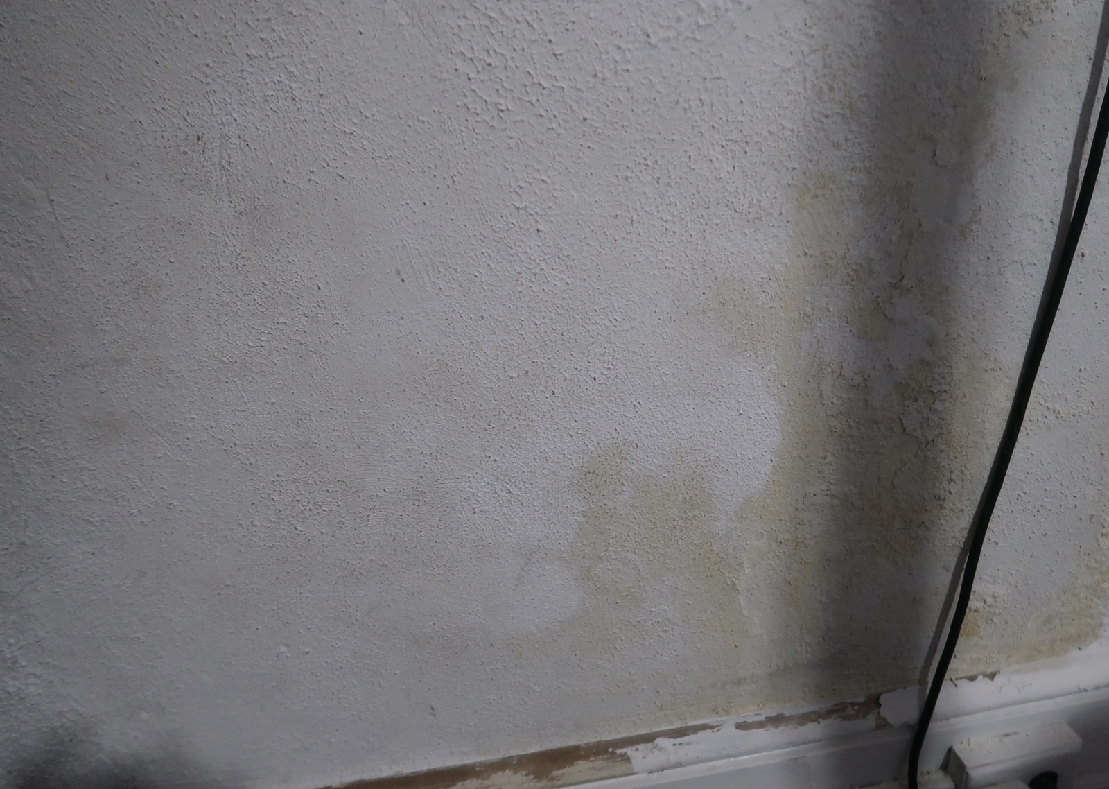 Photographic documentation of the work as submitted to the city's 311 record.