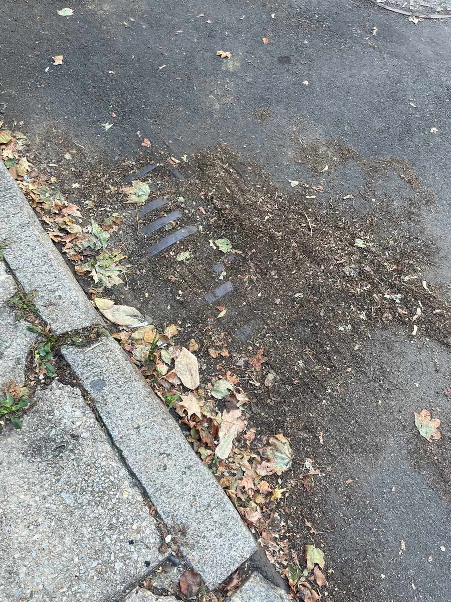 Photographic documentation of the work as submitted to the city's 311 record.