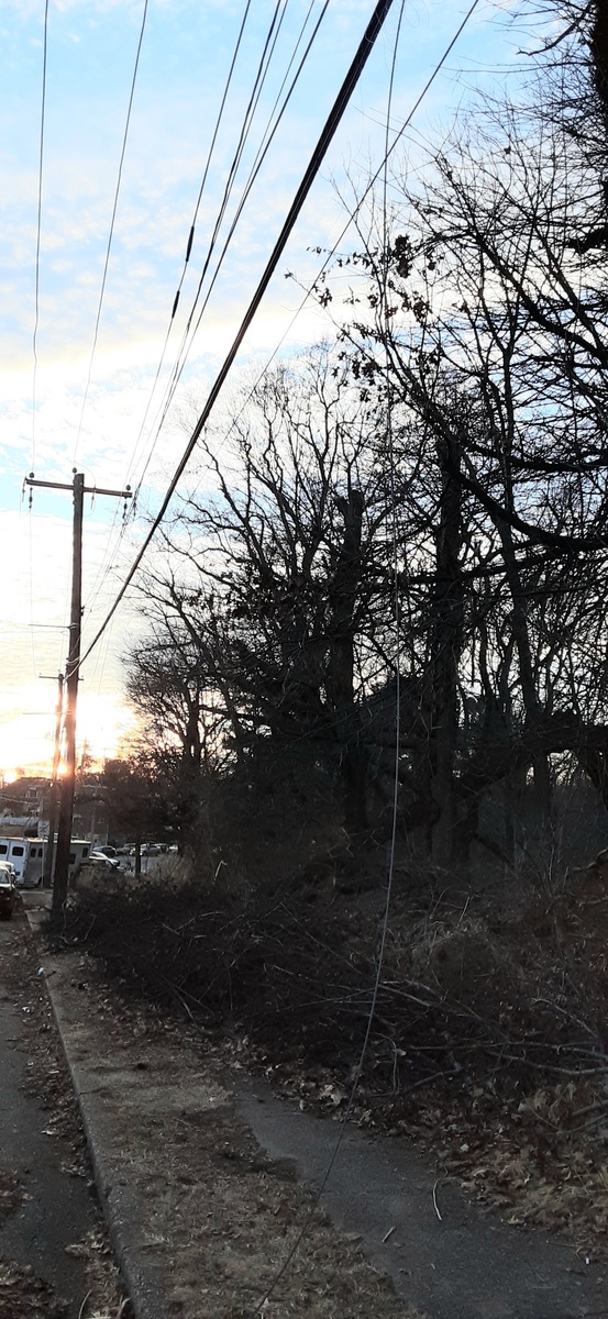 Photographic documentation of the work as submitted to the city's 311 record.