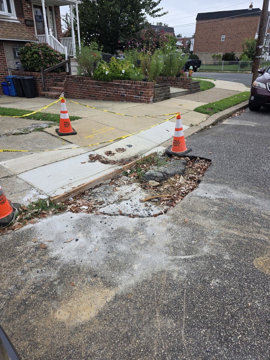 Photographic documentation of the work as submitted to the city's 311 record.