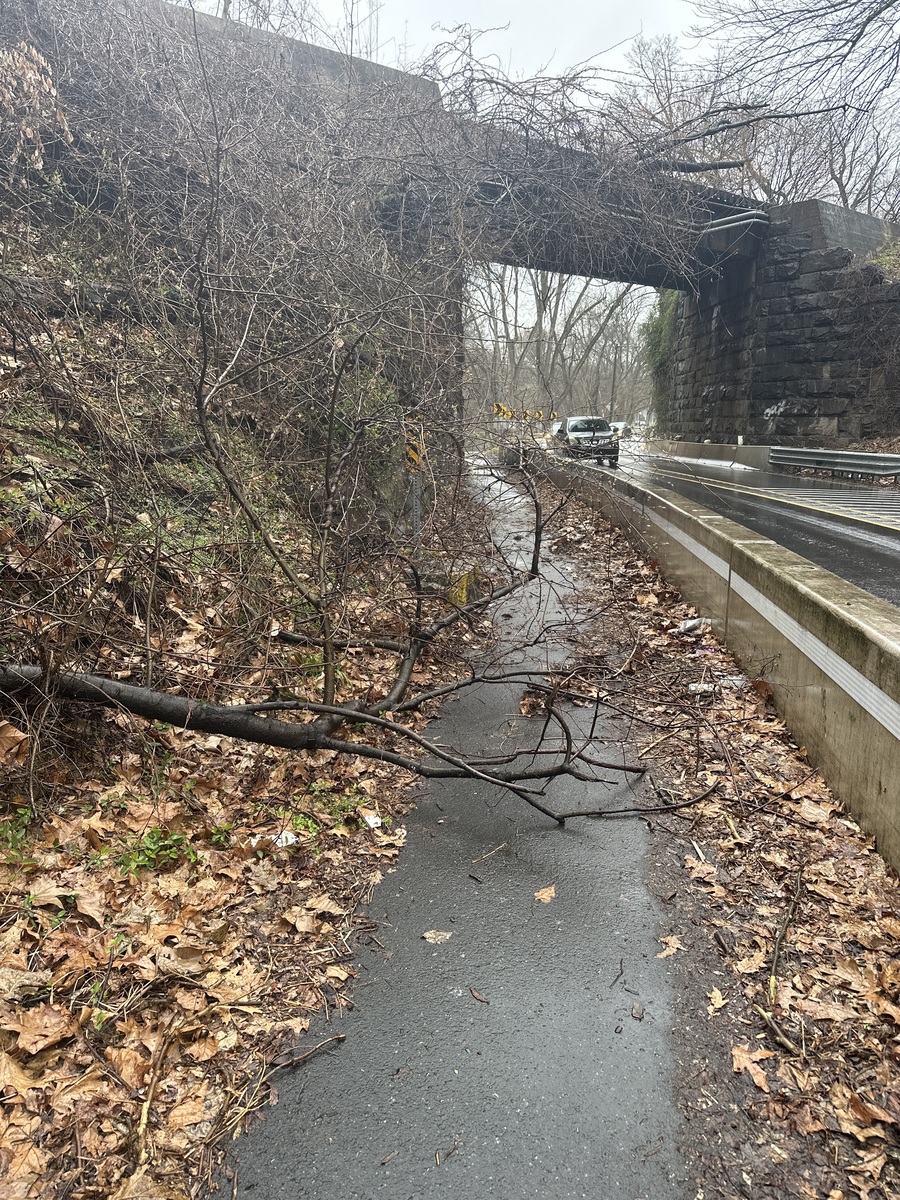 Photographic documentation of the work as submitted to the city's 311 record.