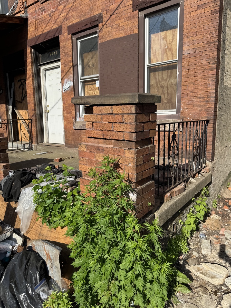 Photographic documentation of the work as submitted to the city's 311 record.