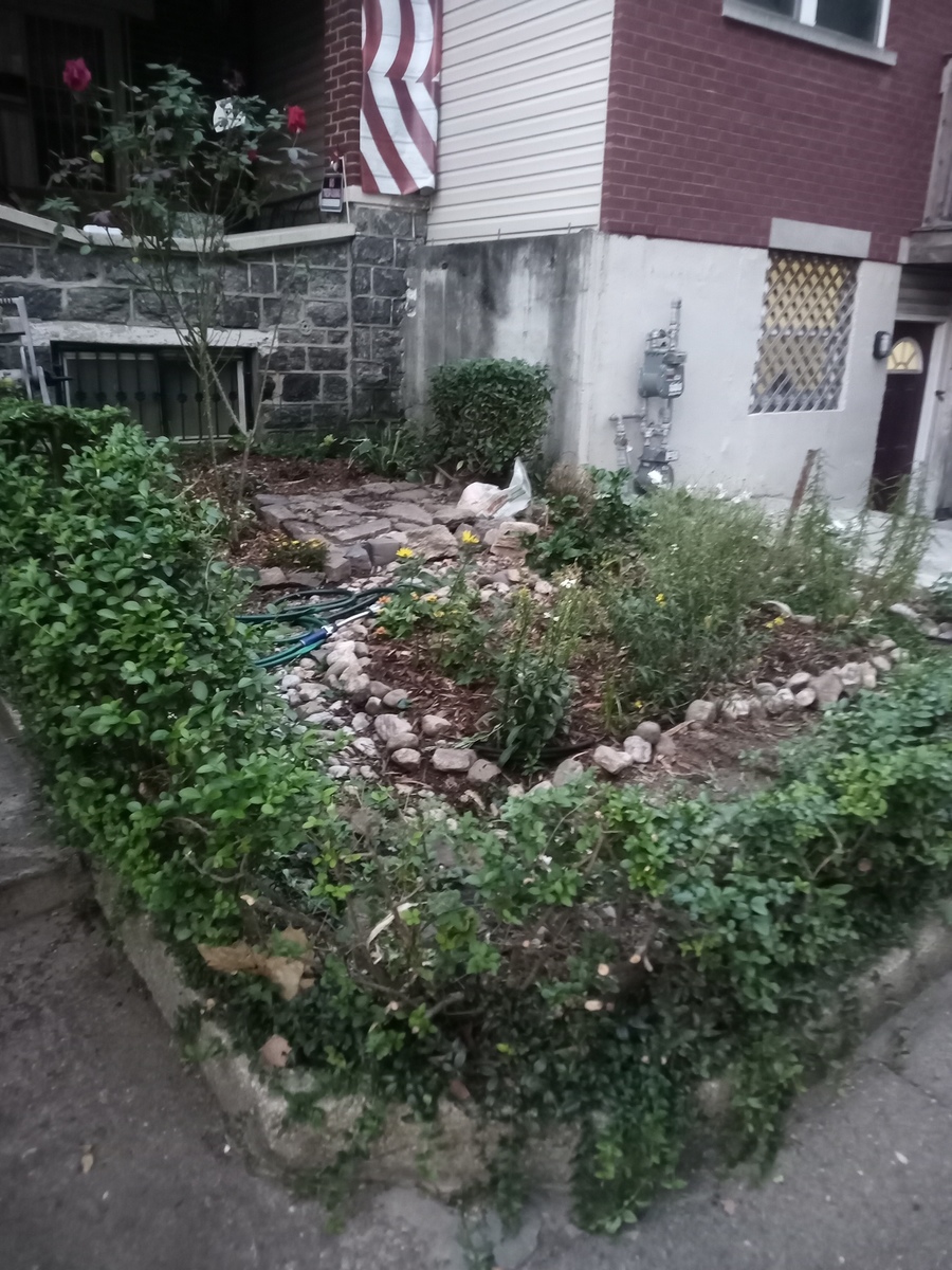 Photographic documentation of the work as submitted to the city's 311 record.