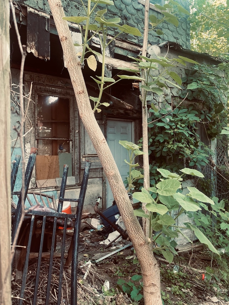Photographic documentation of the work as submitted to the city's 311 record.