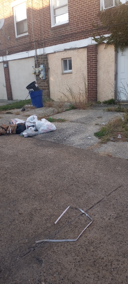 Photographic documentation of the work as submitted to the city's 311 record.
