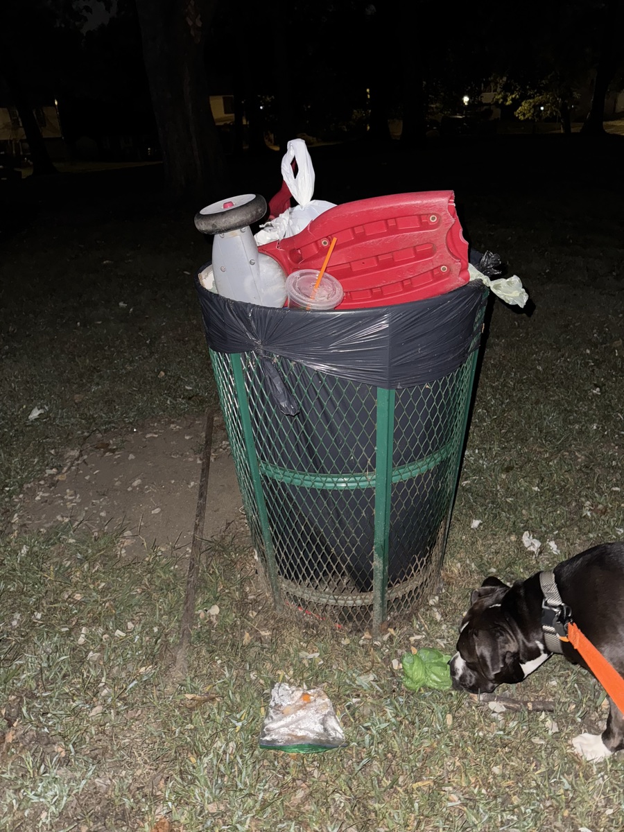 Photographic documentation of the work as submitted to the city's 311 record.