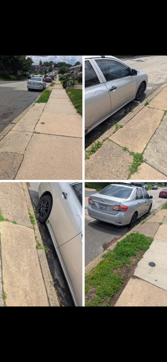 Photographic documentation of the work as submitted to the city's 311 record.
