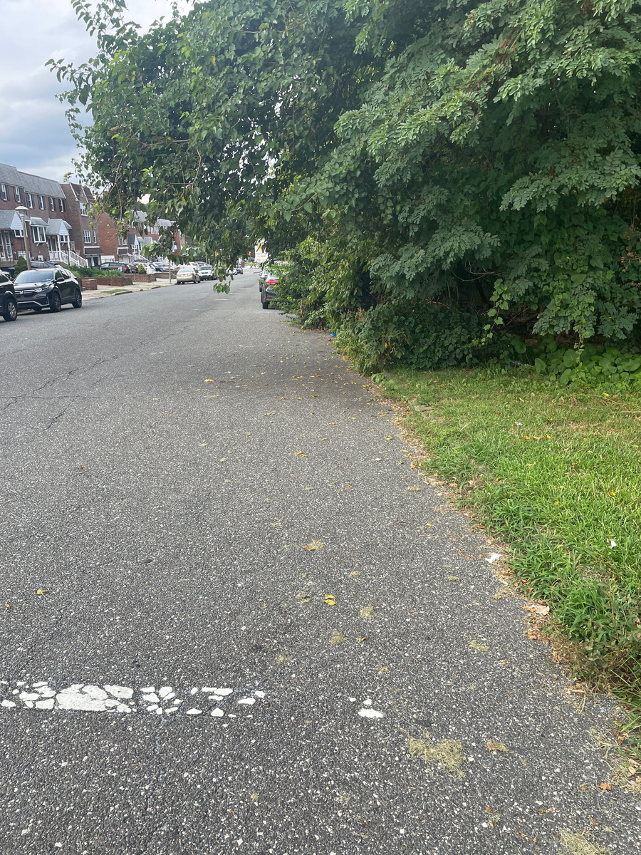 Photographic documentation of the work as submitted to the city's 311 record.