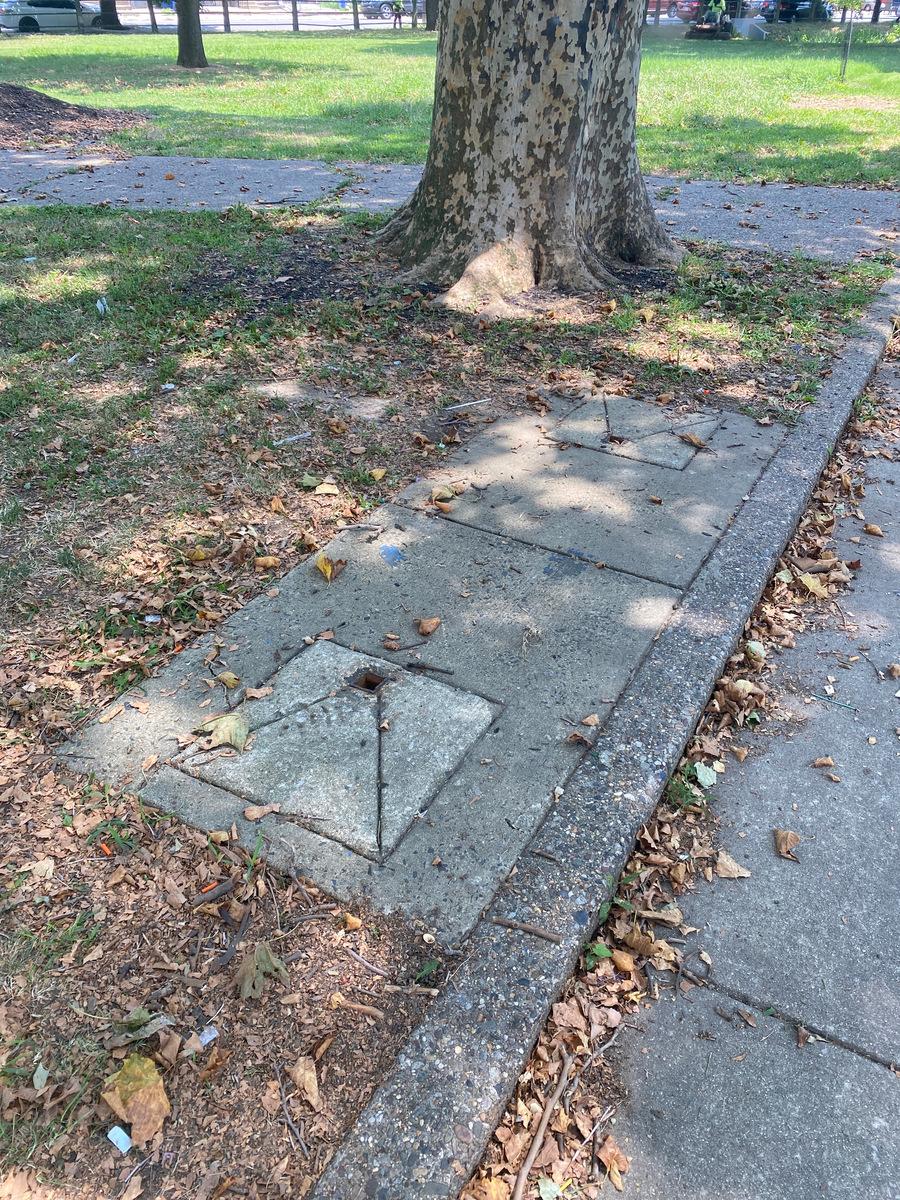 Photographic documentation of the work as submitted to the city's 311 record.