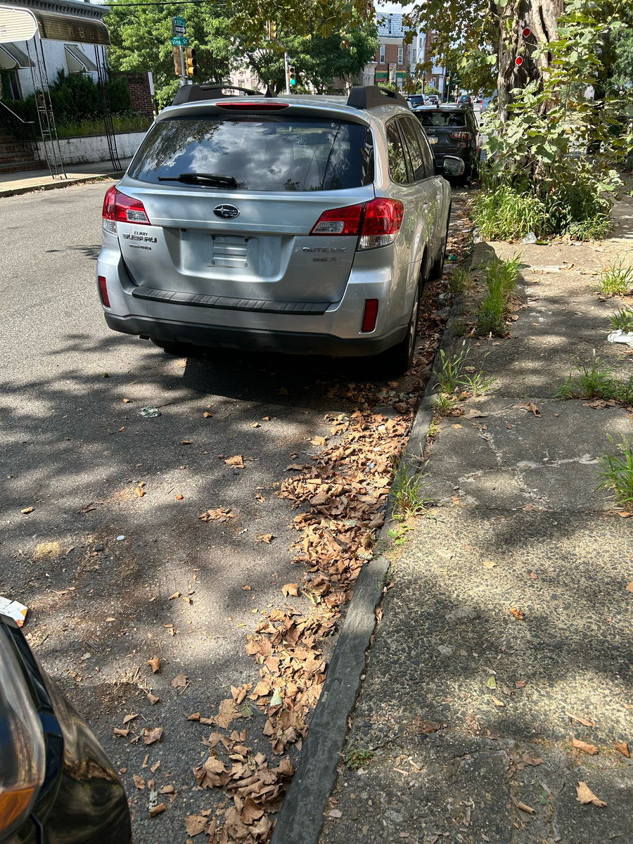 Photographic documentation of the work as submitted to the city's 311 record.
