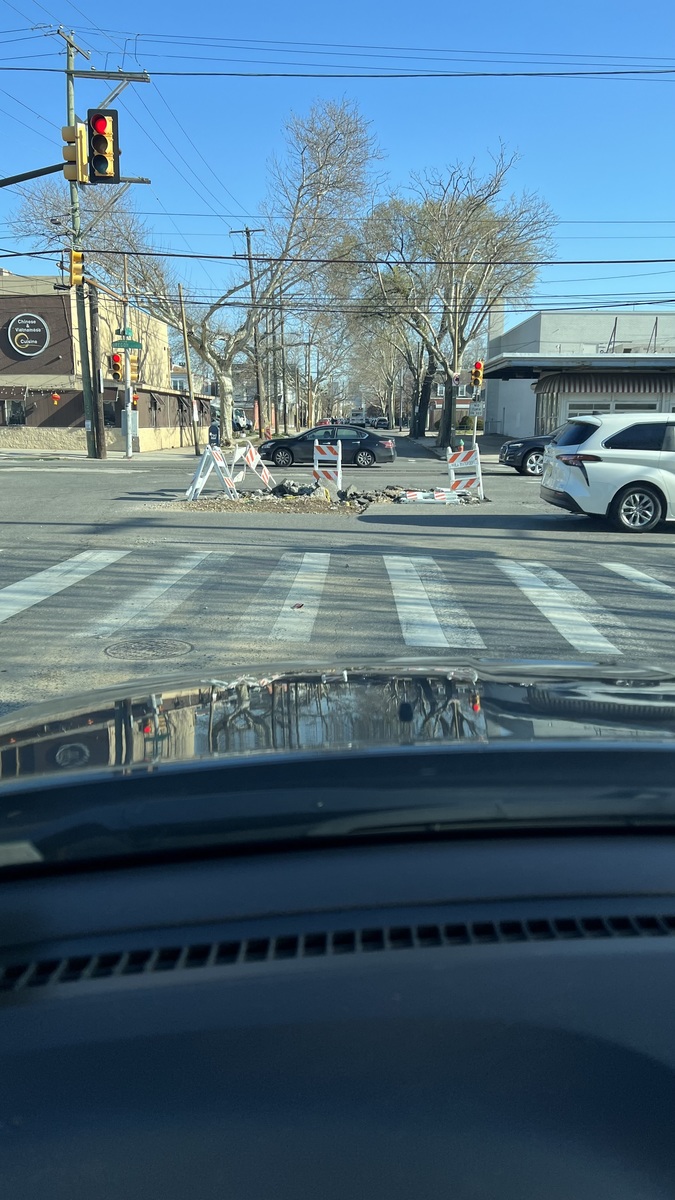 Photographic documentation of the work as submitted to the city's 311 record.
