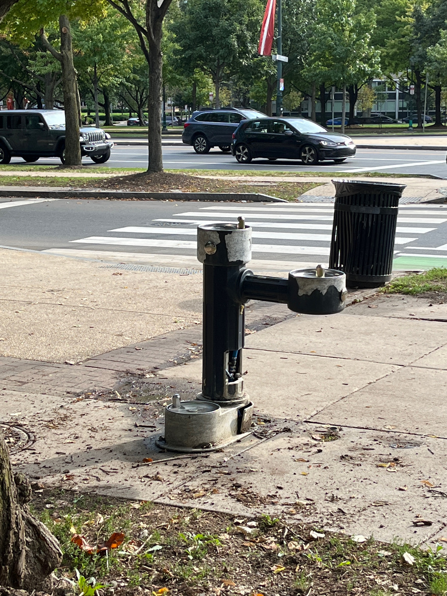 Photographic documentation of the work as submitted to the city's 311 record.