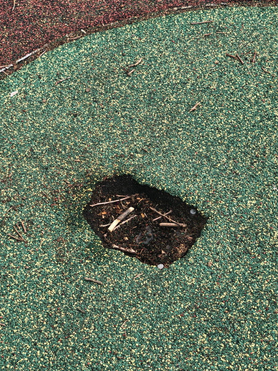 Photographic documentation of the work as submitted to the city's 311 record.